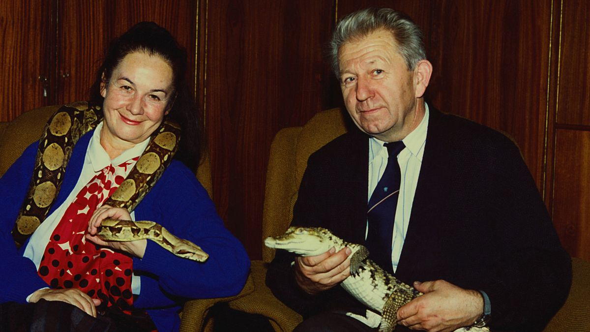 Guciwńscy zajmowali się kiedyś w swoim domu młodym krokodylem