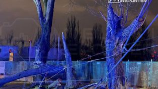 Warszawa: Drzewa runęły na trakcję tramwajową przy Jagiellońskiej. Duże utrudnienia w ruchu