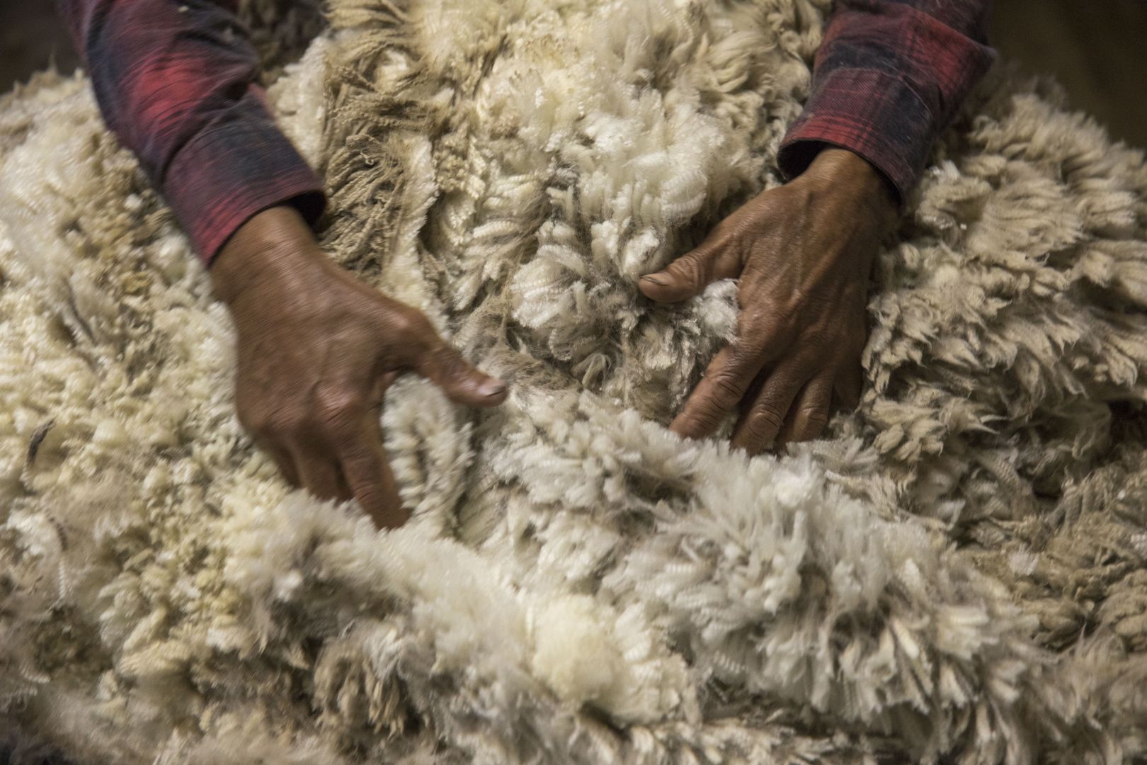 merino wool