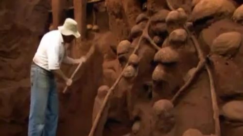 Gigantyczna kolonia mrówek wypełniona betonem [wideo] 1