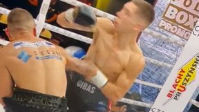 Brutalny nokaut na gali w Częstochowie. Następca Adamka na deskach [WIDEO]