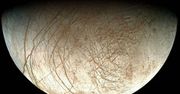 NASA rozważa możliwość lądowania na Europie