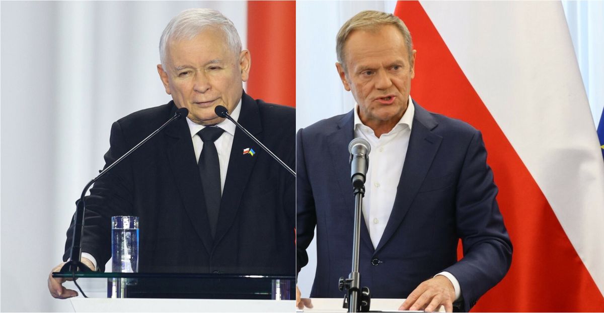 Wybory do Sejmu. Najnowszy sondaż dla WP 