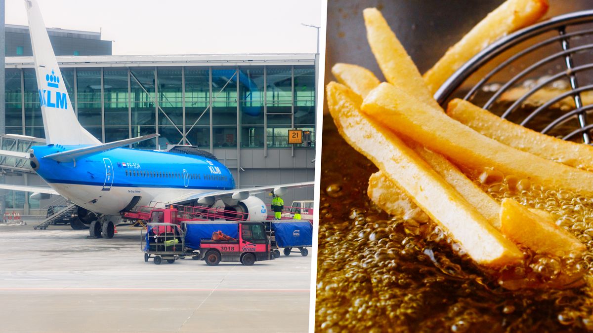 Zużyty olej kuchenny to surowiec do produkcji zrównoważonego paliwa lotniczego