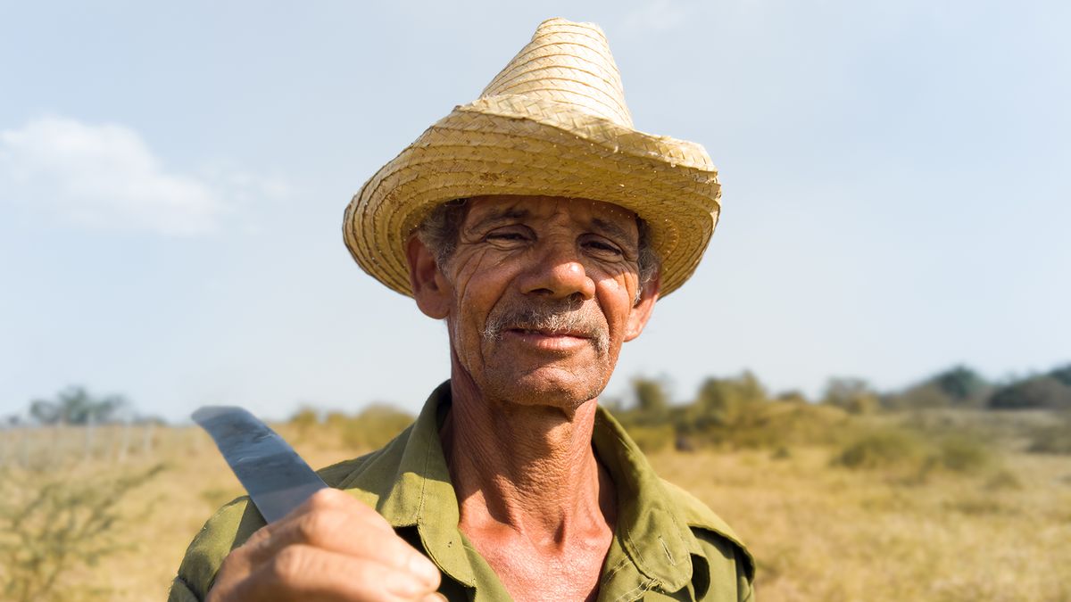 Light L16 produkuje 81-megapikselowe obrazy, które są naprawdę szczegółowe! 1