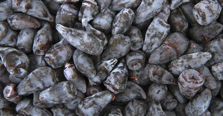 Polski superfood. Obniża ciśnienie krwi i zmniejsza ryzyko zakrzepów