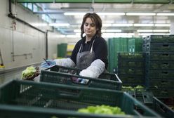 Norwegowie narzekają. Polacy nie chcą już przyjeżdżać do pracy