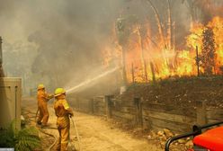 Australia znów płonie. Czy uda się ocalić bezcenne dziedzictwo naturalne?