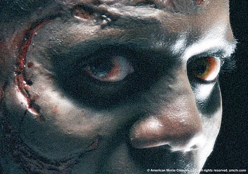 Pierwszy rzut oka: The Walking Dead 4