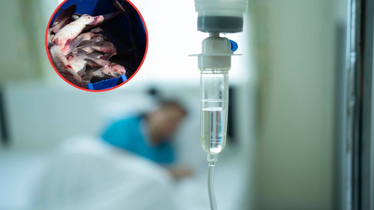 Choroba Zalewu Wiślanego. GiS alarmuje