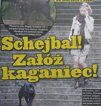 Schejbal bez smyczy i kagańca