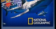 Głębiny oceanu w Buzzie