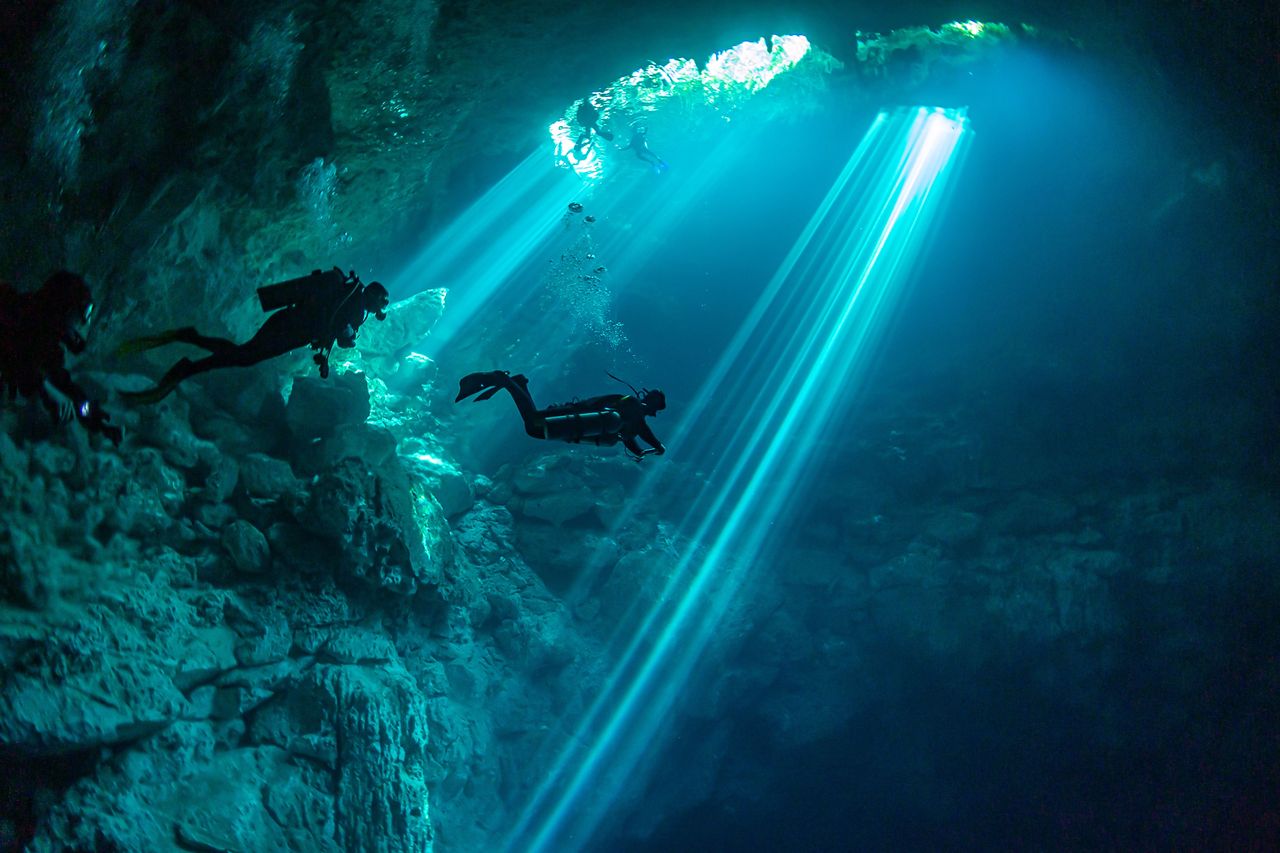 Mexico is, among other things, a paradise for diving enthusiasts.