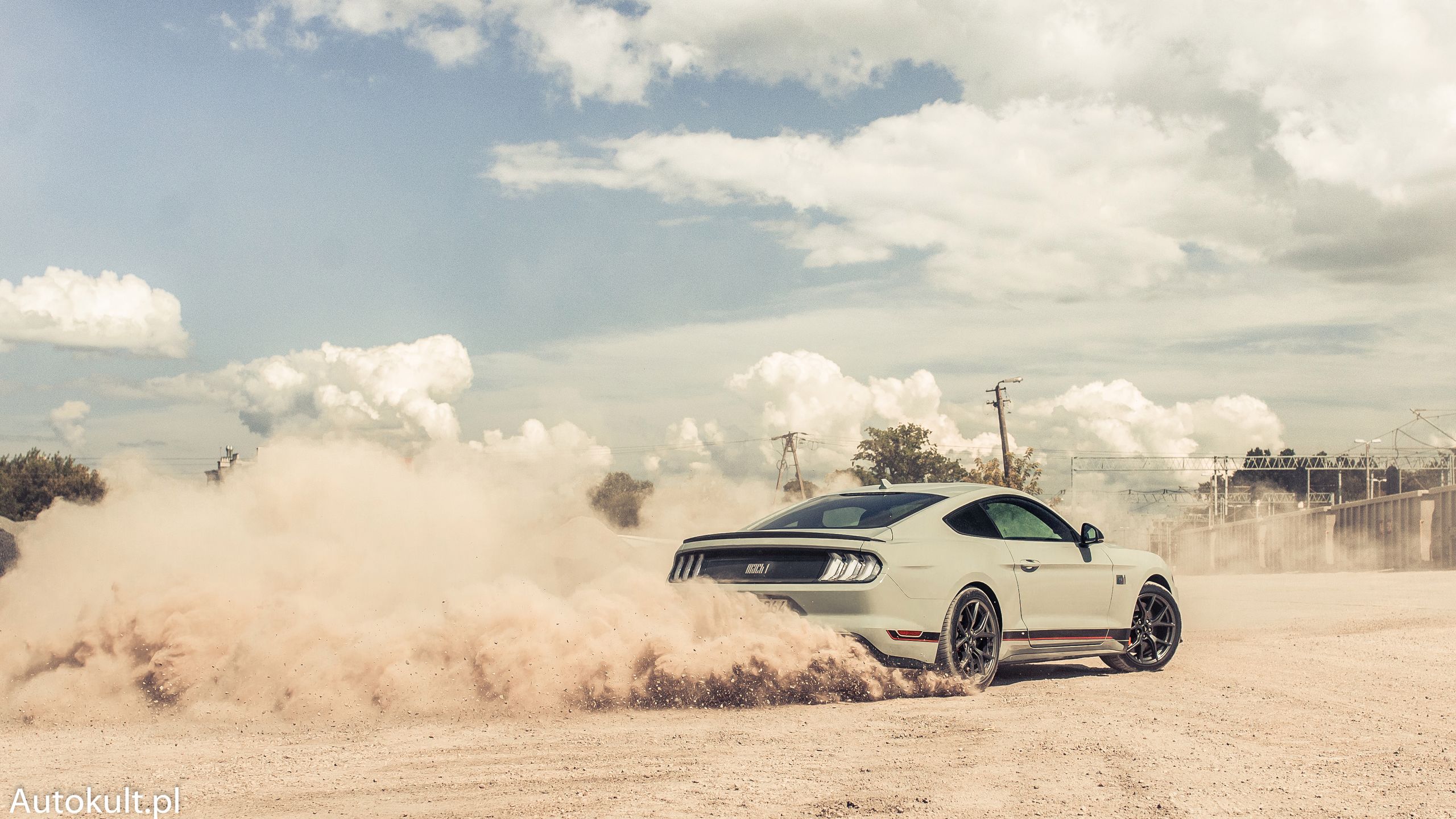 Ford Mustang Mach 1 (2021)