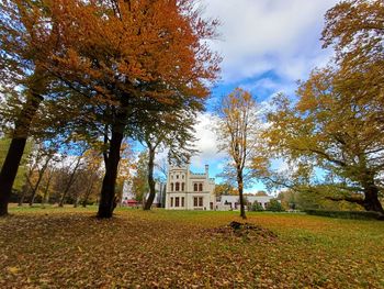 Bytom: Park i Pałac Tiele-Wincklerów. Jesienna nostalgia w pejzażu Miechowic zachwyca