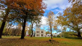Bytom: Park i Pałac Tiele-Wincklerów. Jesienna nostalgia w pejzażu Miechowic zachwyca