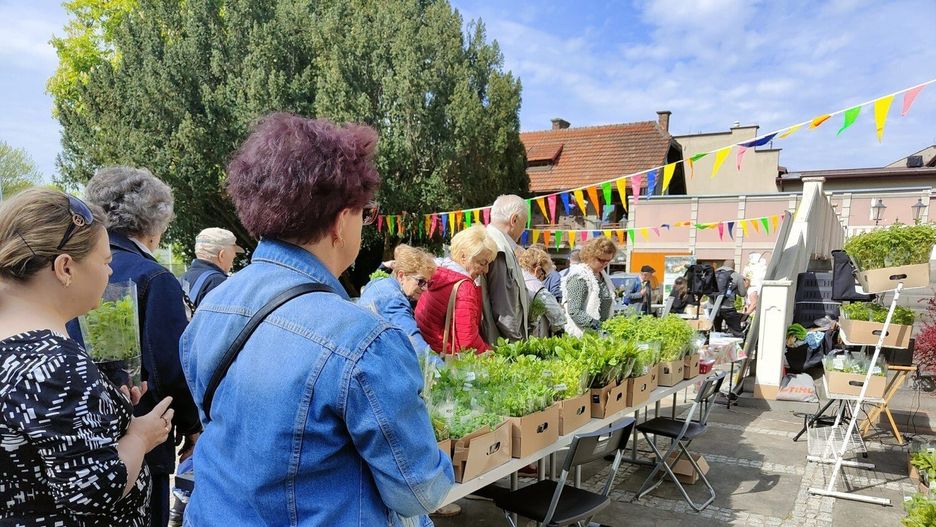 Tarnowski Dzień Miejskiego Ogrodnika w sobotę rozpocznie się o godz. 10 obok Pałacyku Strzeleckiego