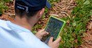 Cyfryzacja rolnictwa z Cropwise Operations