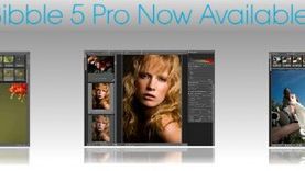 RAWy szybko i sprawnie - Bibble 5 Pro 1