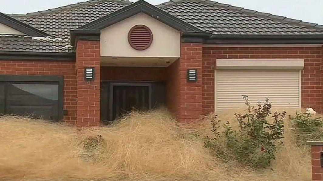 Biegacze opanowały Melbourne