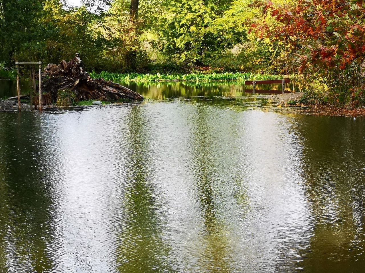 Wrocław. Park Wschodni pod wodą. Przypomina jezioro