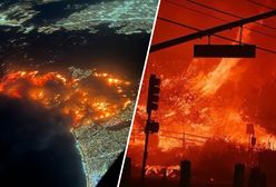 Co tam się dzieje? Wstrząsające nagrania spod LA. Stan wyjątkowy