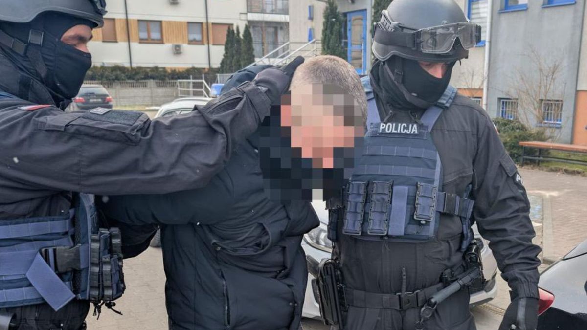 Zabójstwo 14-latki w Kępnie. Prokuratura: Ukrainiec poczytalny