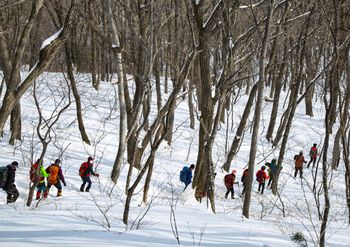 Włoszakowice: "Łaziki" zorganizowały złaz mikołajkowy
