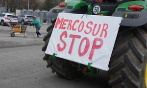 Rolnicy zyskają zabezpieczenie ws. umowy UE-Mercosur. Jest decyzja PE