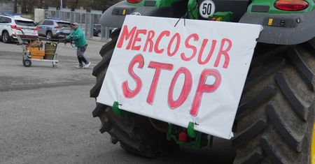 Rolnicy zyskają zabezpieczenie ws. umowy UE-Mercosur. Jest decyzja PE