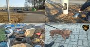 Szczecinek: 181 interwencji Straży Miejskiej w w tydzień