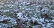 Łódź: Mroźne Boże Narodzenie. Prawie 14 stopni na minusie