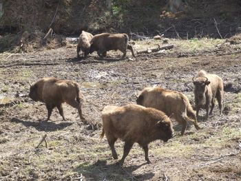 Dramatyczne informacje z Podkarpacia. Ważna atrakcja będzie zamknięta