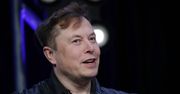 Elon Musk: wszczepianie implantów do mózgu możemy rozpocząć w ciągu roku