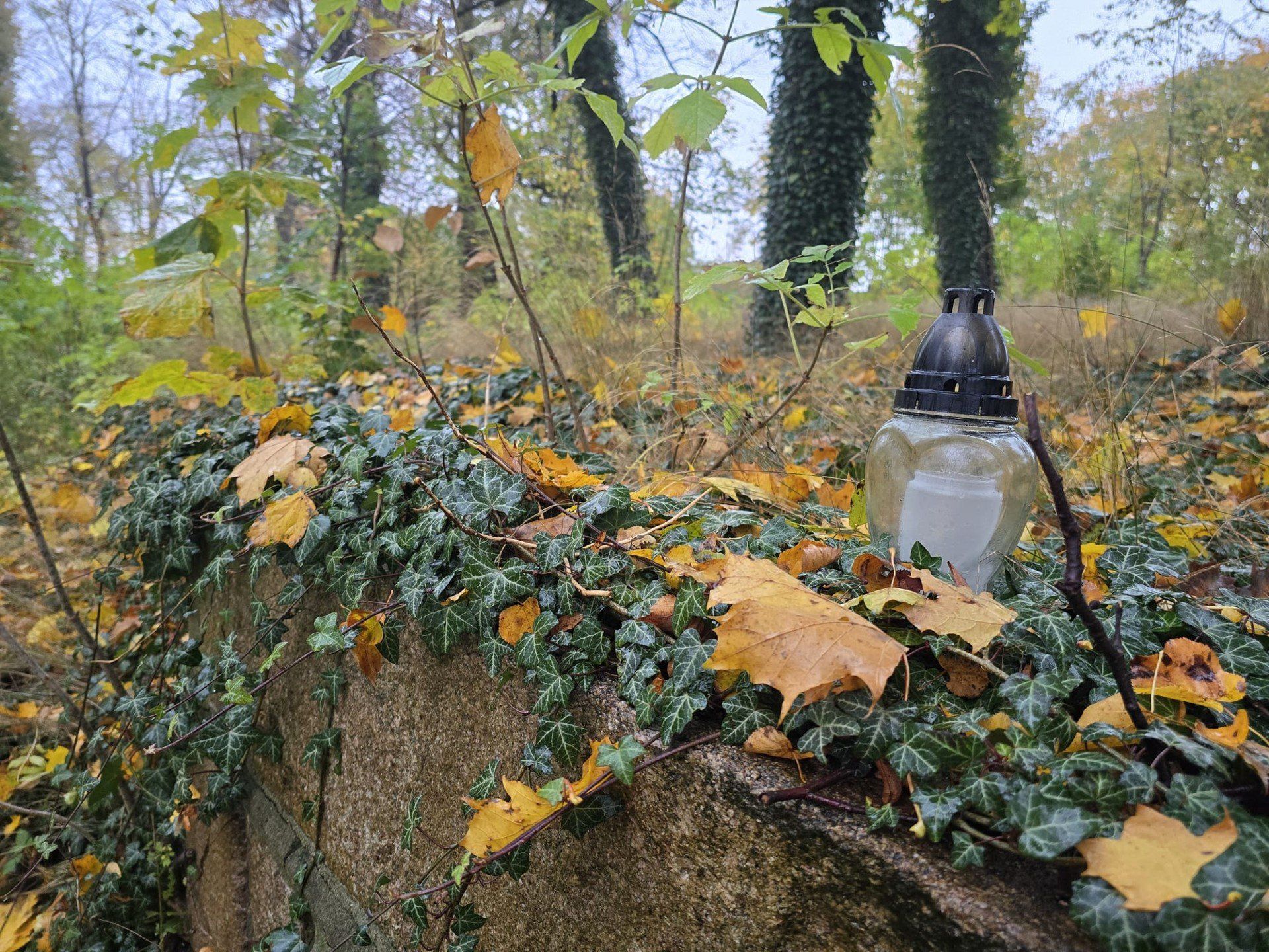 Cmentarz przy ul. Owidzkiej w Starogardzie Gdańskim