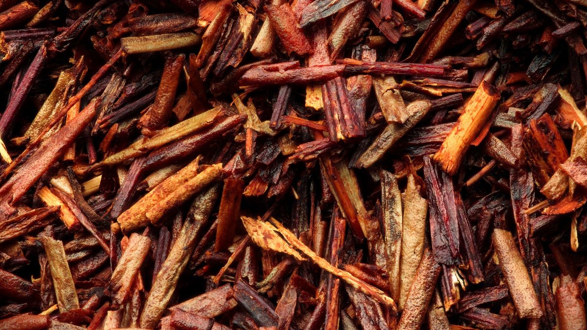 Rooibos