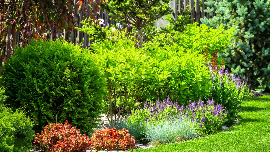 A flower garden in the backyard in the summer.
SV PRODUCTION
scenic, flower, garden, flowerbed, backyard, landscape, grass, landscaping, nature, plant, lawn, gardening, colorful, bloom, design, flora, lush, floral, formal, ornamental, park, green, back, yard, natural, home, outdoor, tree, spring, summer, foliage, beautiful, cool, wood, fence, ogrod, outside, blooming, leaf, house, horticulture, decoration, bush, herbs, pretty, grounds, relaxing, raised, rustic, exterior, scenic, flower, garden, flowerbed, backyard, landscape, grass, landscaping, nature, plant, lawn, gardening, colorful, bloom, design, flora, lush, floral, formal, ornamental, park, green, back, yard, natural, home, outdoor, tree, spring, summer, foliage, beautiful, cool, wood, fence, ogrod, outside, blooming, leaf, house, horticulture, decoration, bush, herbs, pretty, grounds, relaxing, raised, rustic, exterior