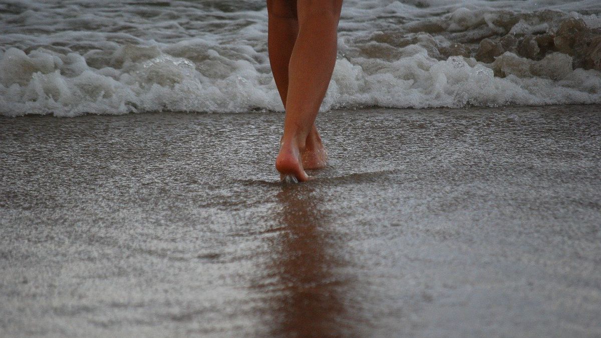 Sinice nad Bałtykiem