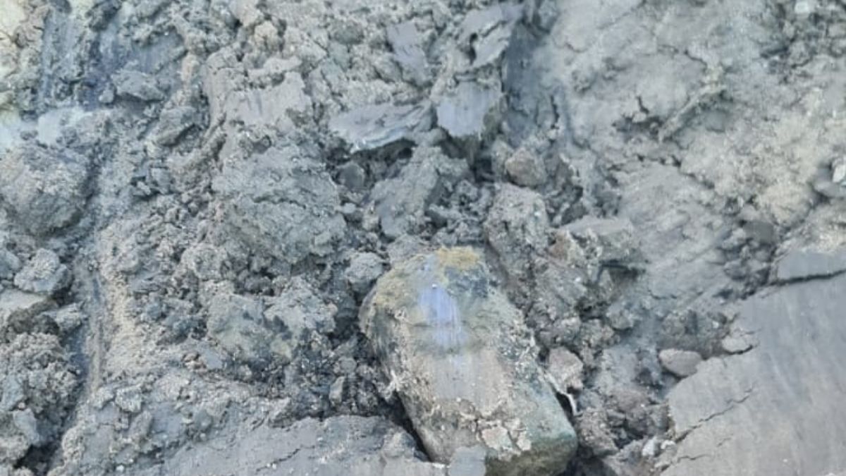 Odkrycie pod Gnieznem. 