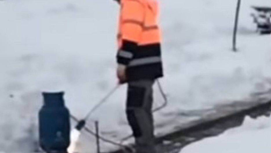 Czy w Łęcznej trwała akcja sadzenia drzew?