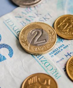 Renta alkoholowa. Tyle świadczeń wypłacił ZUS w ostatnich latach