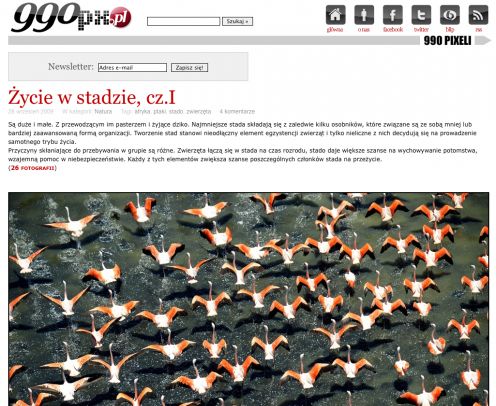 Pogoda na polskie fotoblogi - 6 adresów, które musisz odwiedzić 1