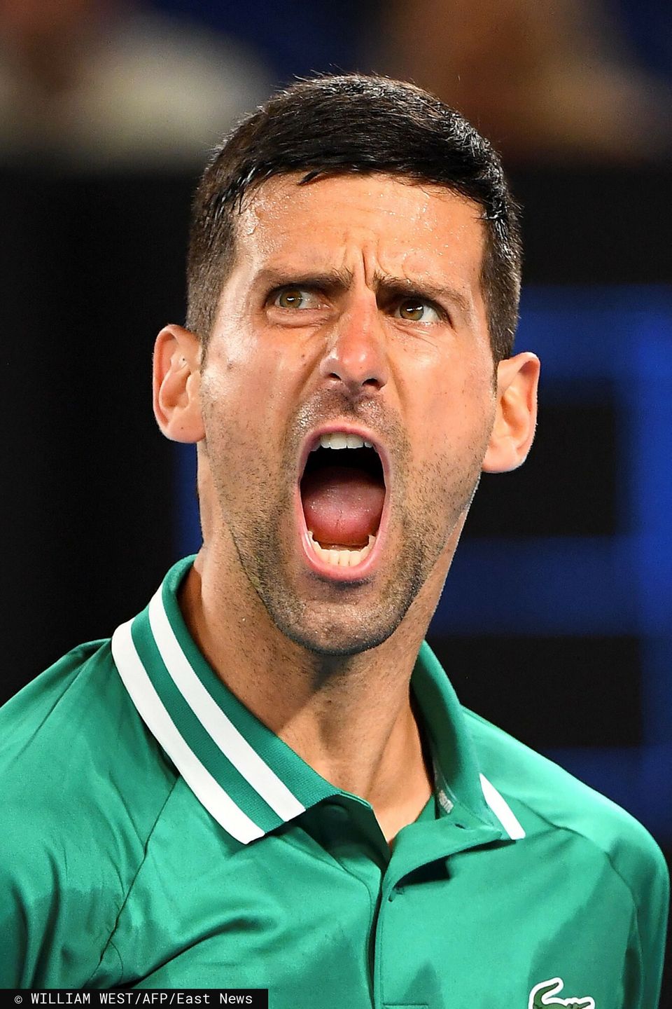Novak Djokovic jednak NIE ZAGRA w Australian Open! Tenisista zostanie DEPORTOWANY