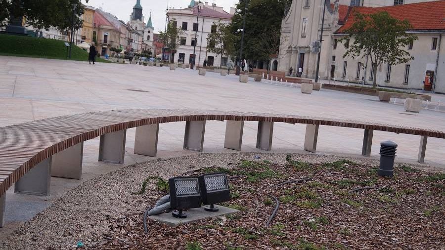 Plac Litewski w Lublinie. Tu rósł kiedyś Baobab