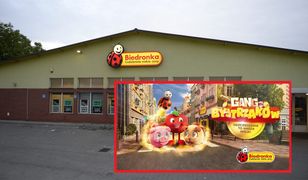 "Gang bystrzaków" w Biedronce. Nowa promocja. Złośliwi widzą premiera