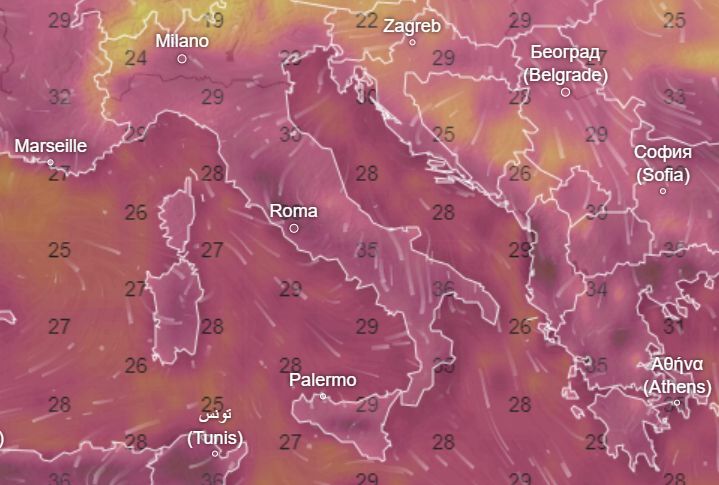 Forecast for 29 July