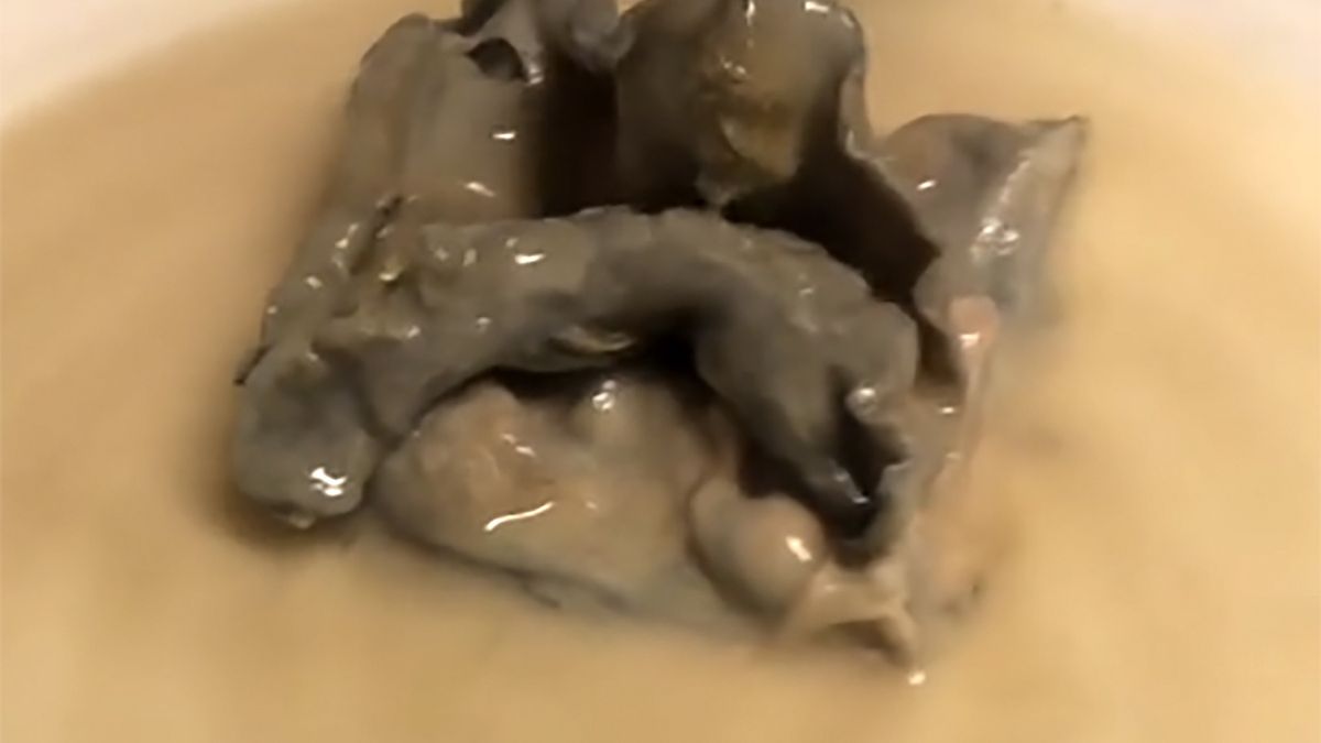 Tajemniczą narośl zaobserwowała klientka sklepu Aldi w zakupionym mleku migdałowym