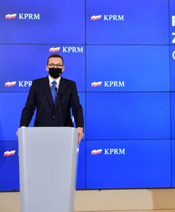 Senat. "Piątka dla zwierząt" bez poparcia komisji