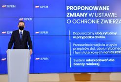 Senat. "Piątka dla zwierząt" bez poparcia komisji