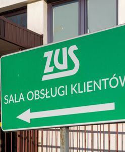 ZUS ma pracować "szybciej". Pomoże sztuczna inteligencja